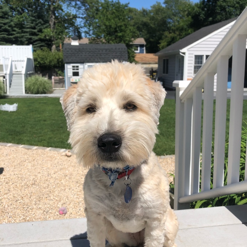 Meet your Posher, Bronwyn